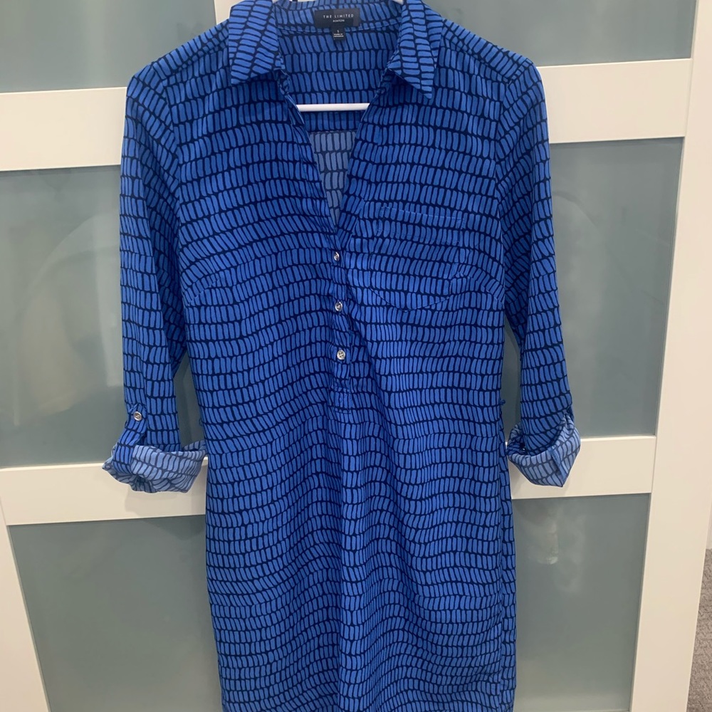 The Limited Silk dress